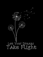 Dreams Take Flight Oversized T-Shirt