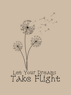 Dreams Take Flight Oversized T-Shirt