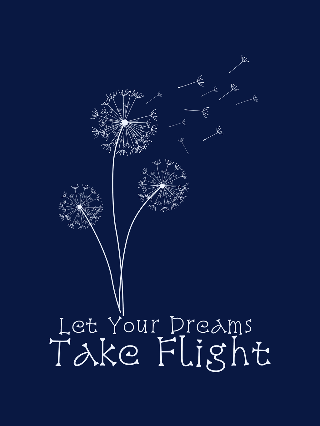 Dreams Take Flight Oversized T-Shirt