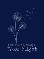 Dreams Take Flight Oversized T-Shirt