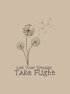 Dreams Take Flight Regular Fit T-Shirt