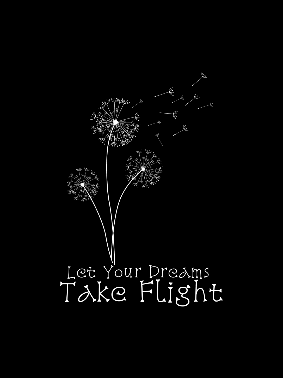 Dreams Take Flight Regular Fit T-Shirt